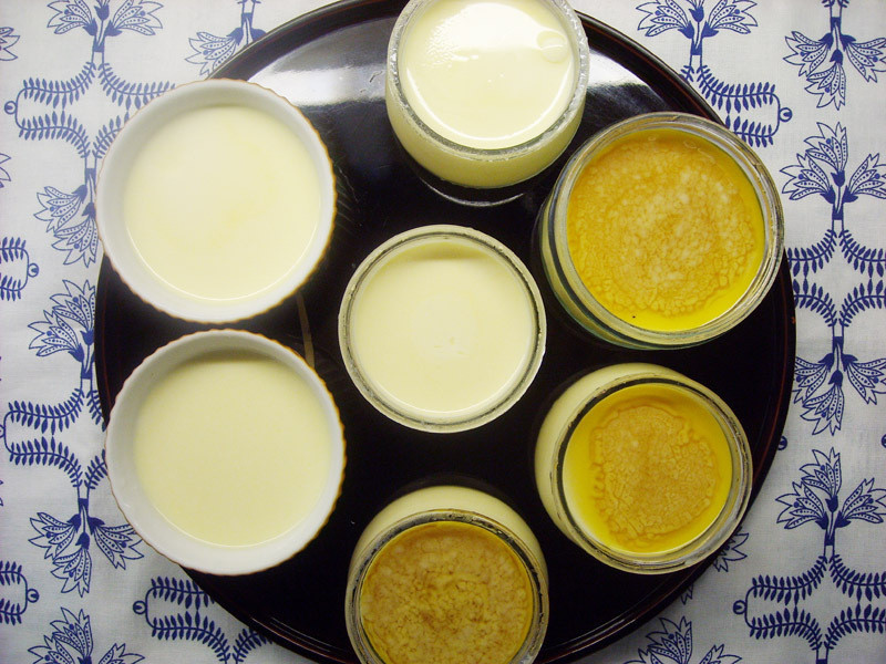 �⿾���Ʋ���������