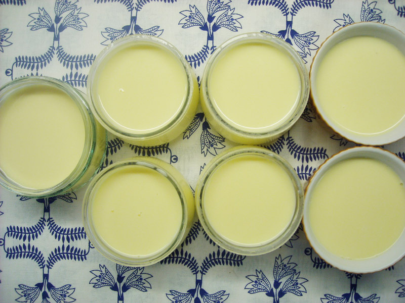 �⿾���Ʋ���������