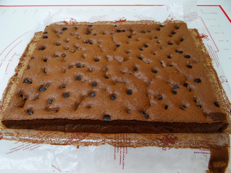 �ɿ�����̶���������