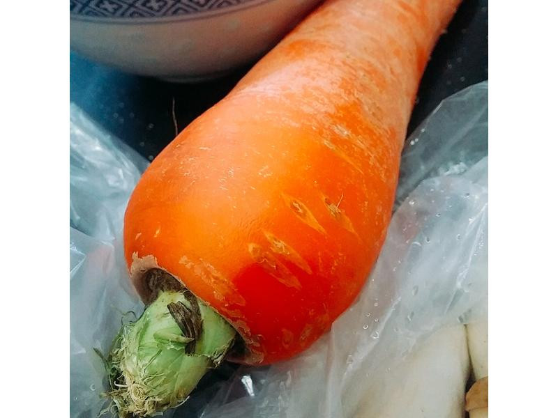 ������ʷ�������