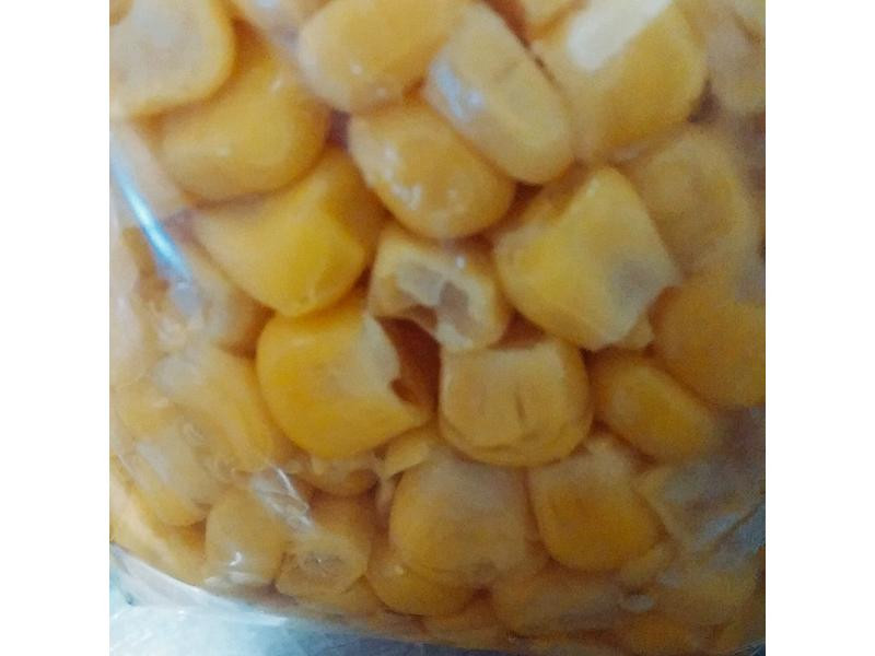 ������ʷ�������