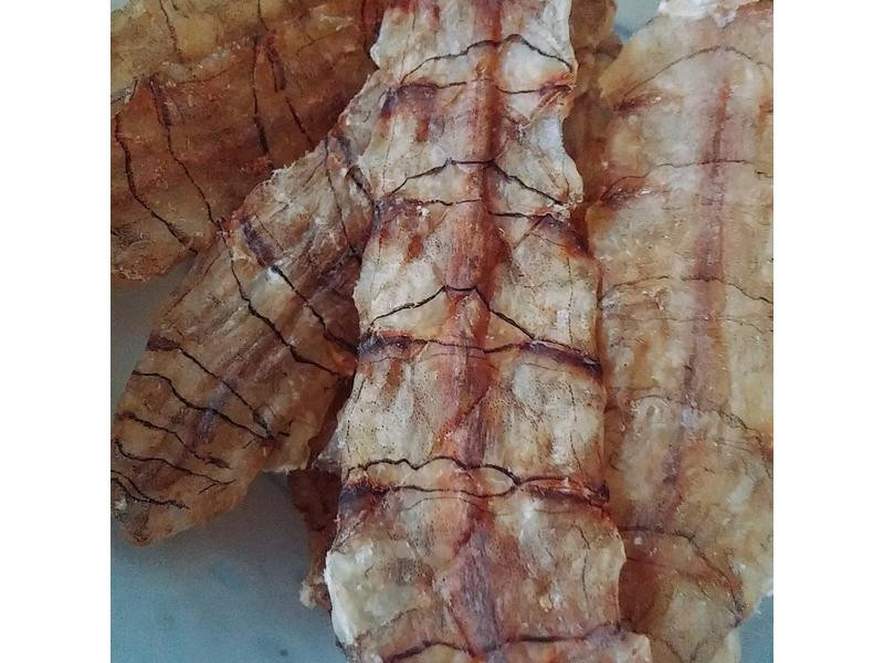 ������ʷ�������