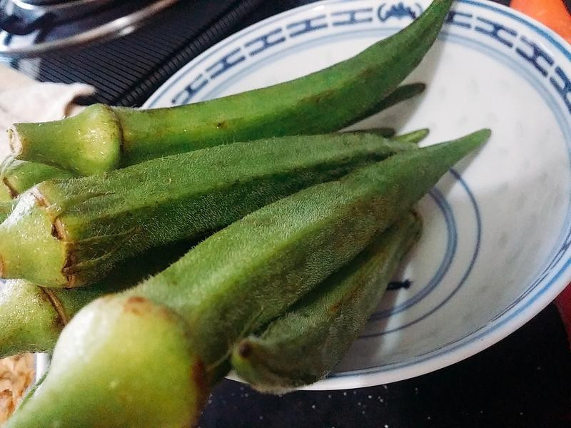 ������ʷ�������