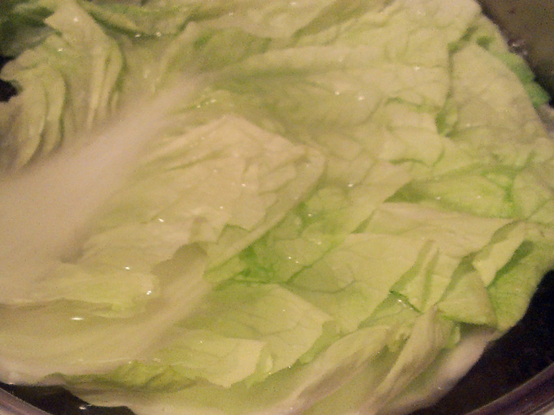 �в�����ӭ����[�����������]������