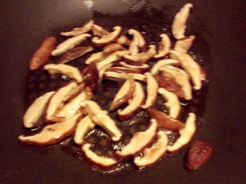 �в�����ӭ����[�����������]������