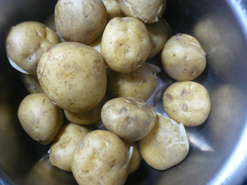 ԲԲ����ӭǧ�顺��������ˡ�������