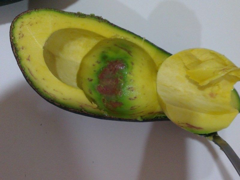 �������ţ�̵�����