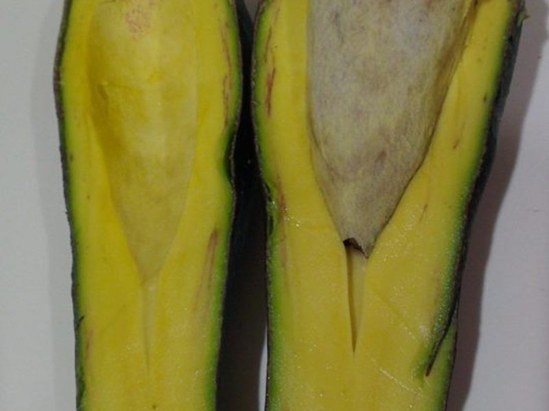 �������ţ�̵�����