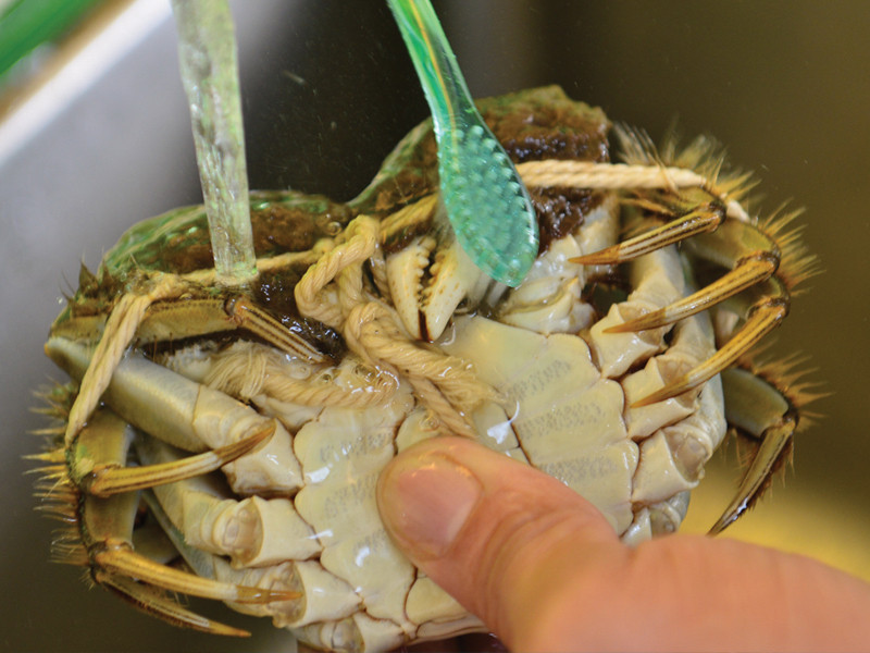 ������բз������֭������