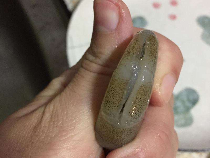 ������ζϺ������