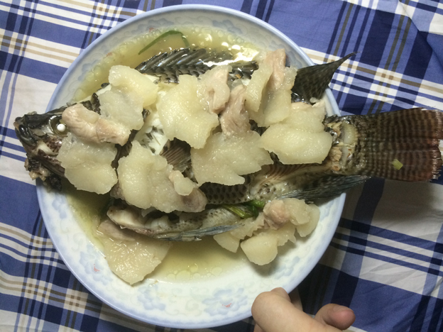 �������⡿�ְ�ȥ�Ķ����������Ĳ˵�����