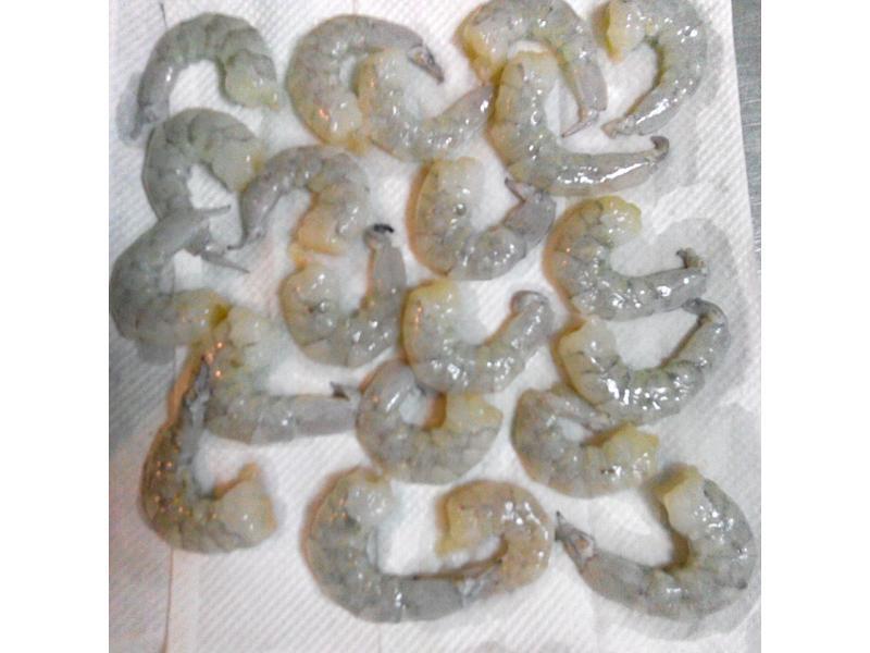 Ϻ�ʵ�����������