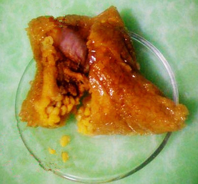 Ŵ���̶������յ�����