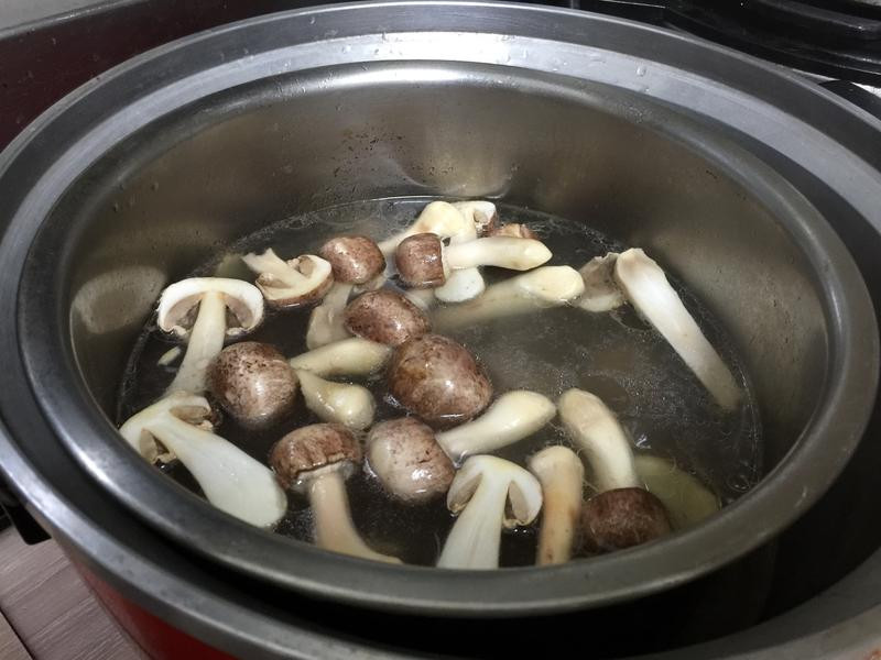 ����Ģ��ɽҩ�Ź���������