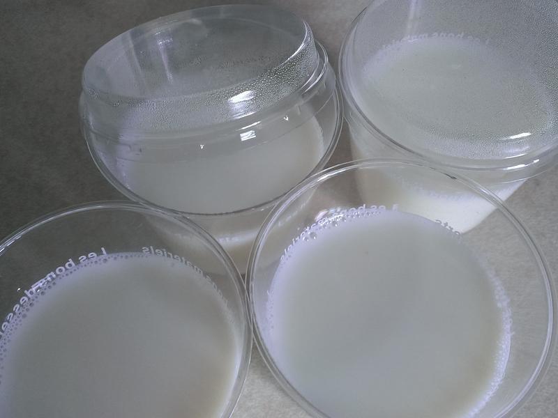 û�������͵Ĵ������� (����������)������