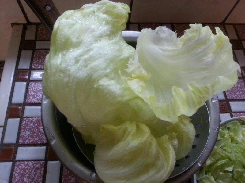 ��ˬϺ�ɵ�����