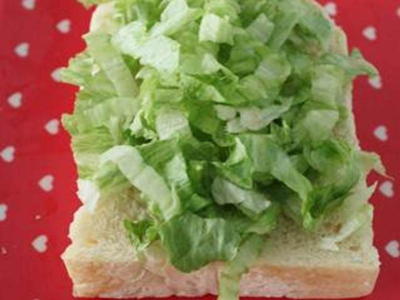 *���վ�������*��������˾������