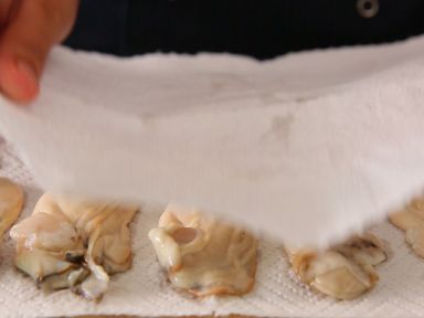 ���ӻ���П�������