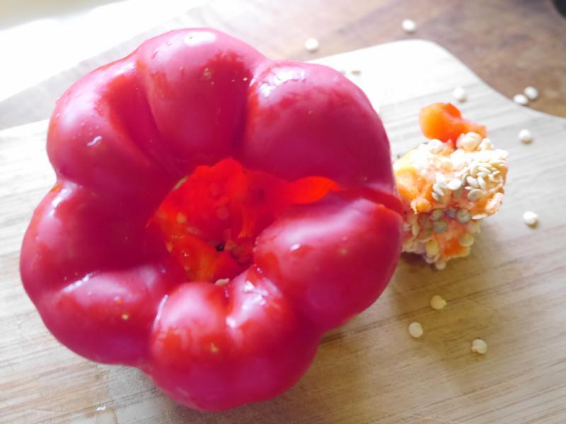 ~::?�����ʼ�?::~�ʽ�����ȥ���з�������