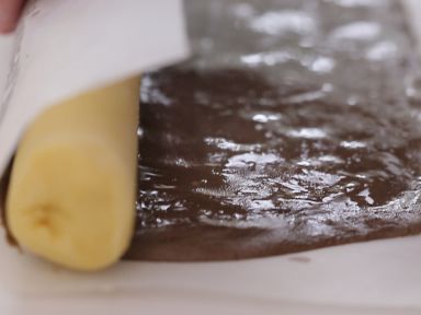 ʨ�������������