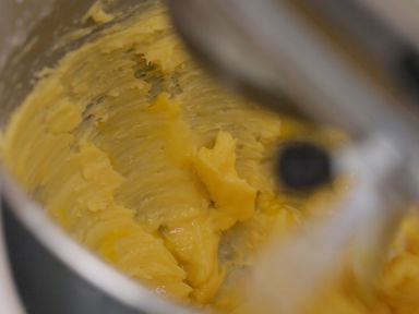 ʨ�������������