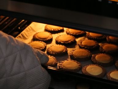 ʨ�������������