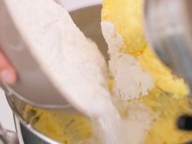 ʨ�������������