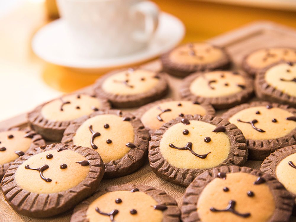 ʨ�������������