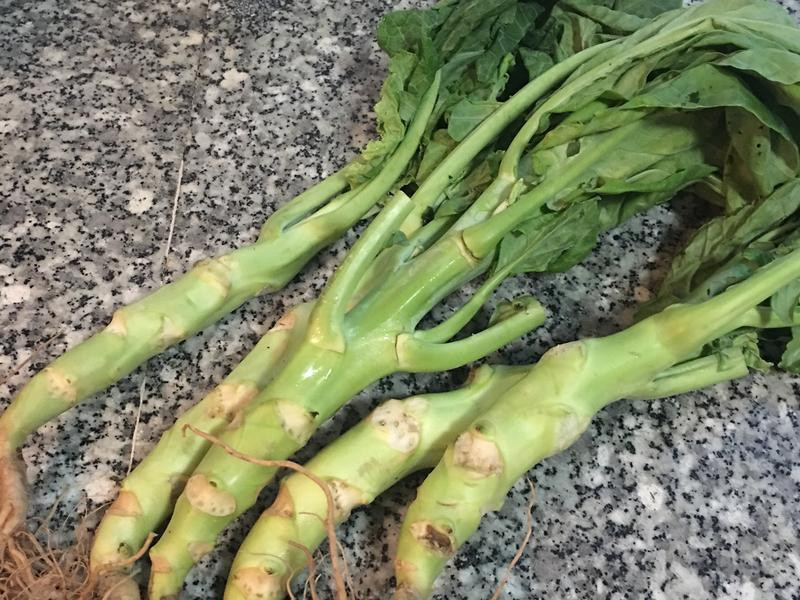 ��������Ａ������