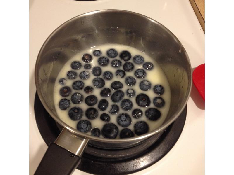 ��ݮ���ҵ��������