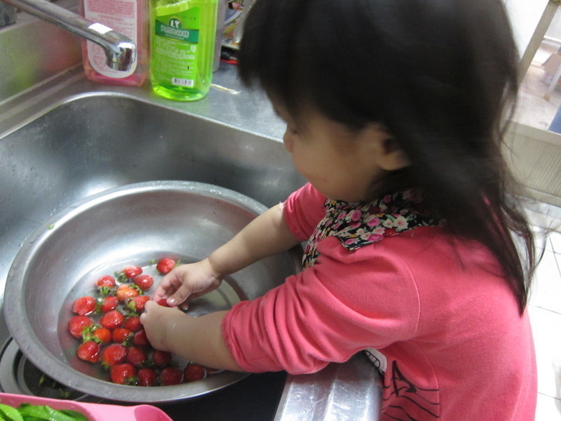 ��ݮ���ŵ�����