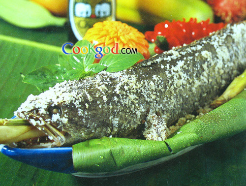 ��Ҷ�����������