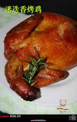 ���㿾��������