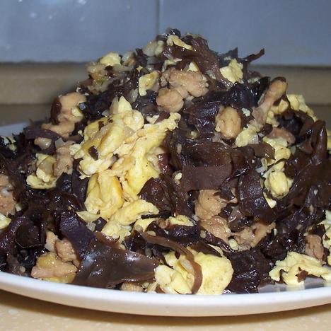 ��Ѫ�ˡ���ľ������������������