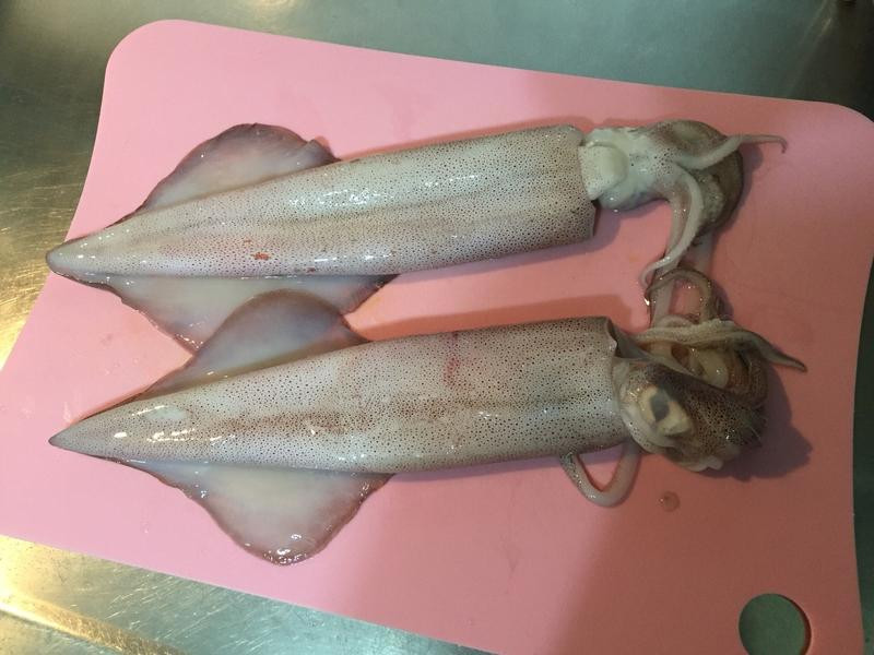 10���ӽ���͸�������