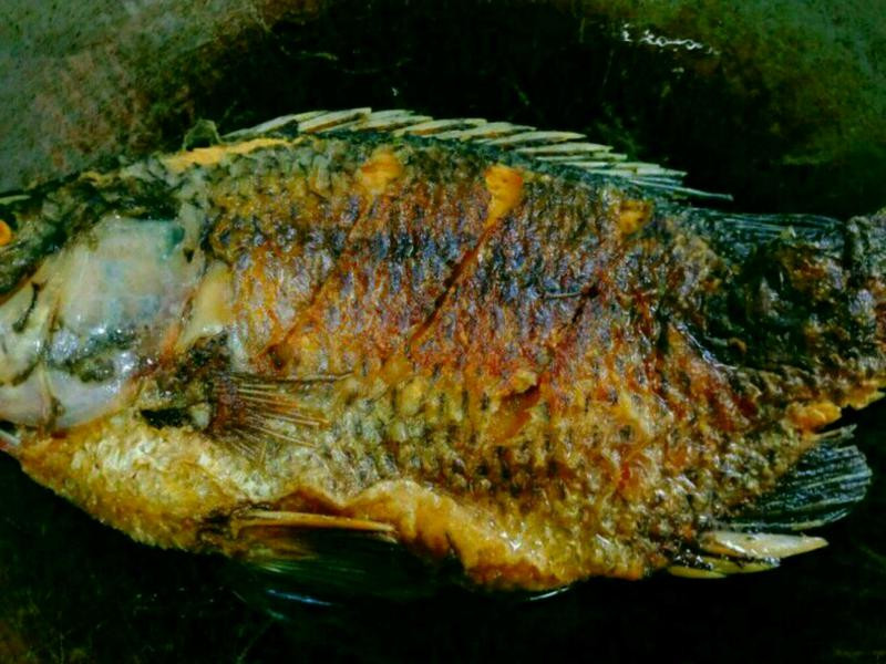 �۽��Ǵ��������