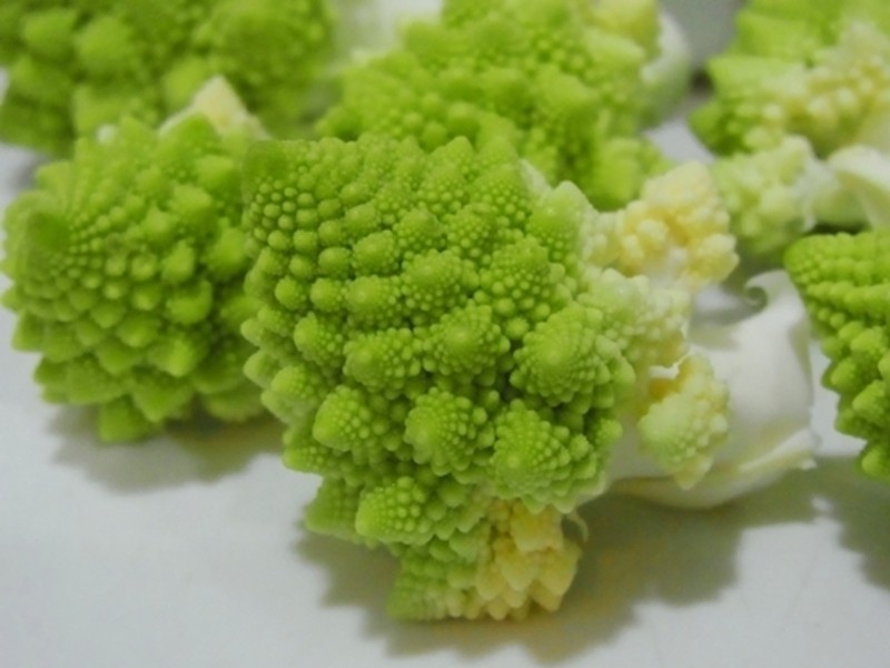 ��ʳ?��ҹ-�Ϲ�����Ũ��������