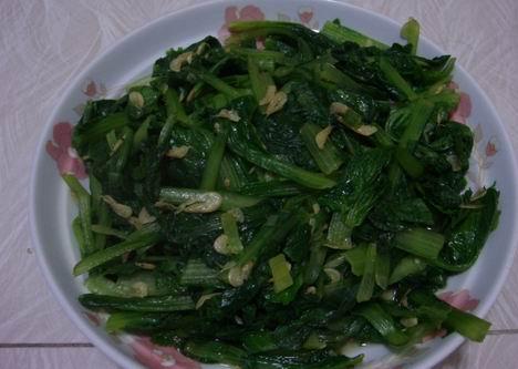 С�ײ˳�Ϻ�׵�����