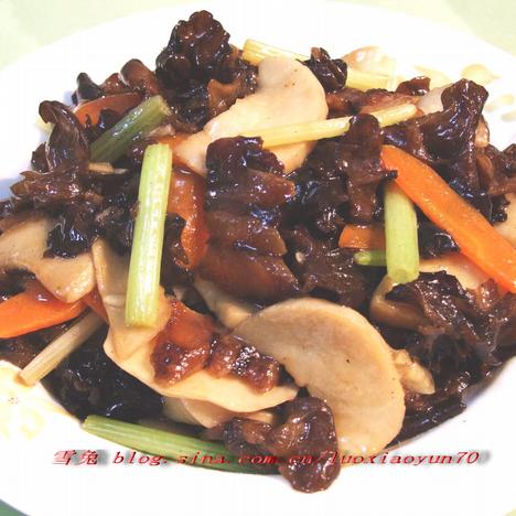 �����ӱ�����ľ��������