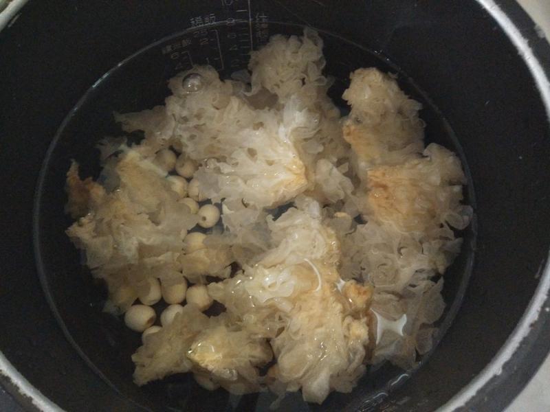 �����������ѩ�LSY�����������ŵ�����