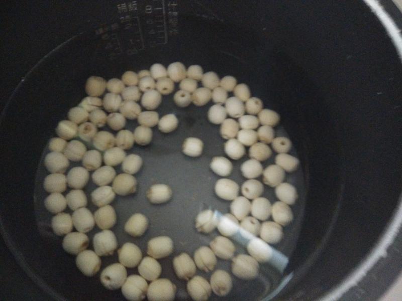 �����������ѩ�LSY�����������ŵ�����