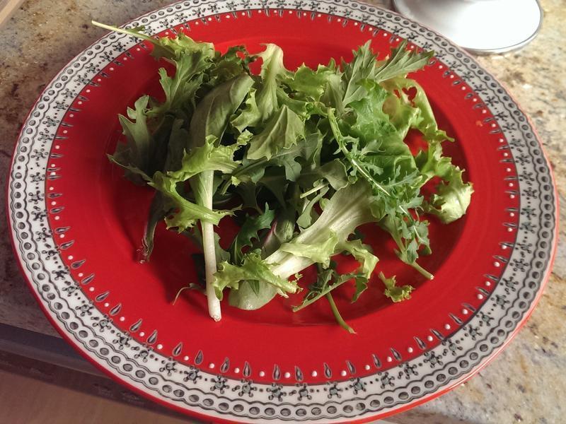 �޻������������ɳ������