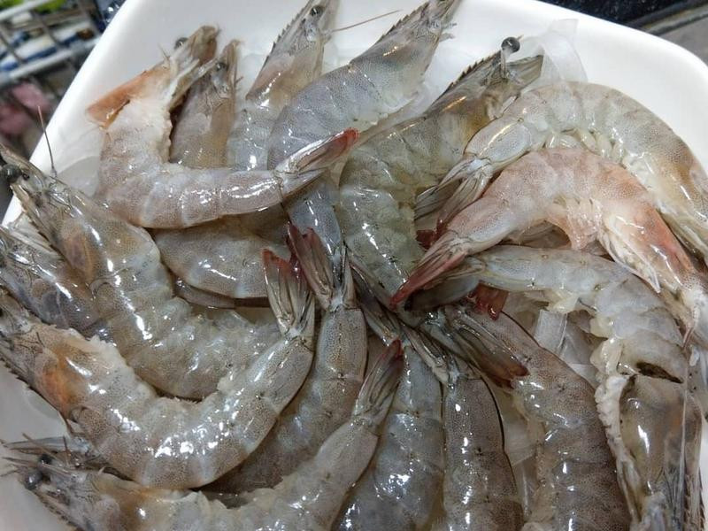 ������Ϻ��˿�ҵ�����