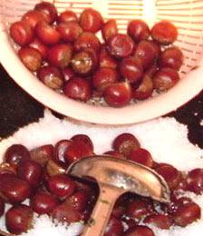 ���Ǵ���������