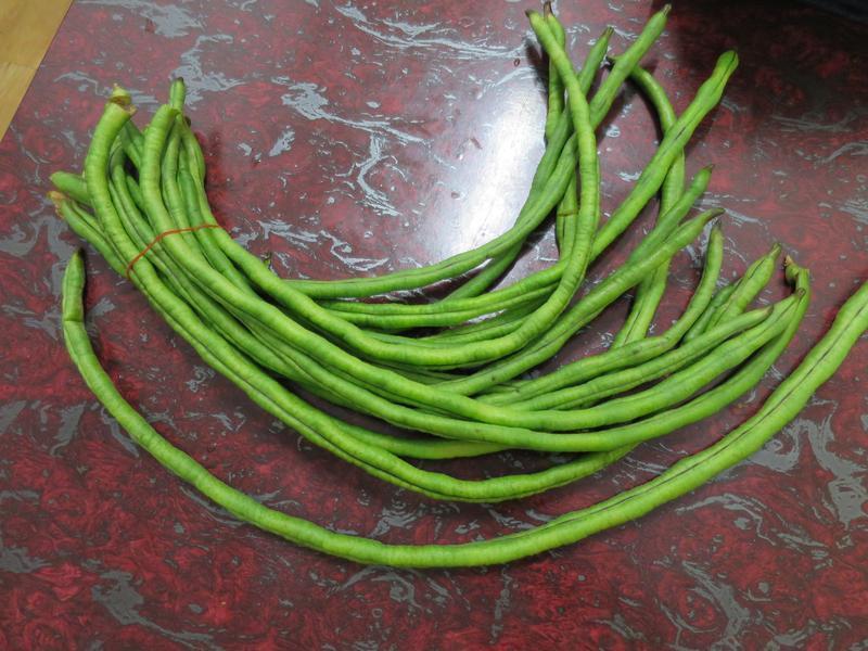 DIY����---���ӳ���������