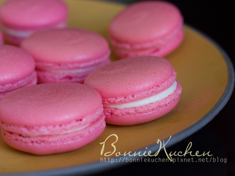 �ۺ�õ��������������