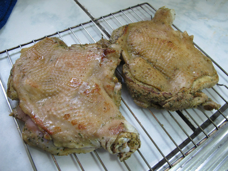 ������˹��ζ�����ȵ�����