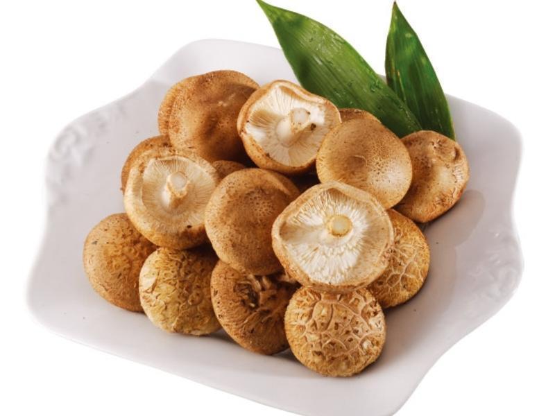 �ͷ紮��ƴ�̵�����