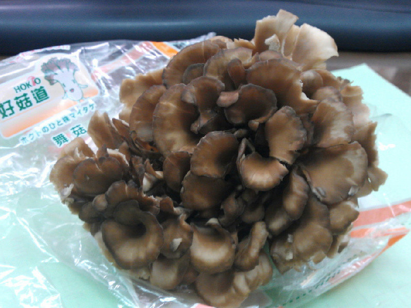 [�ù�����idea]���⹽��������������