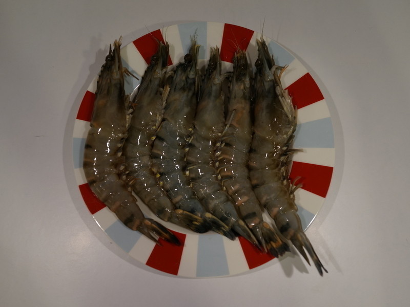 �ں�������Ϻ������